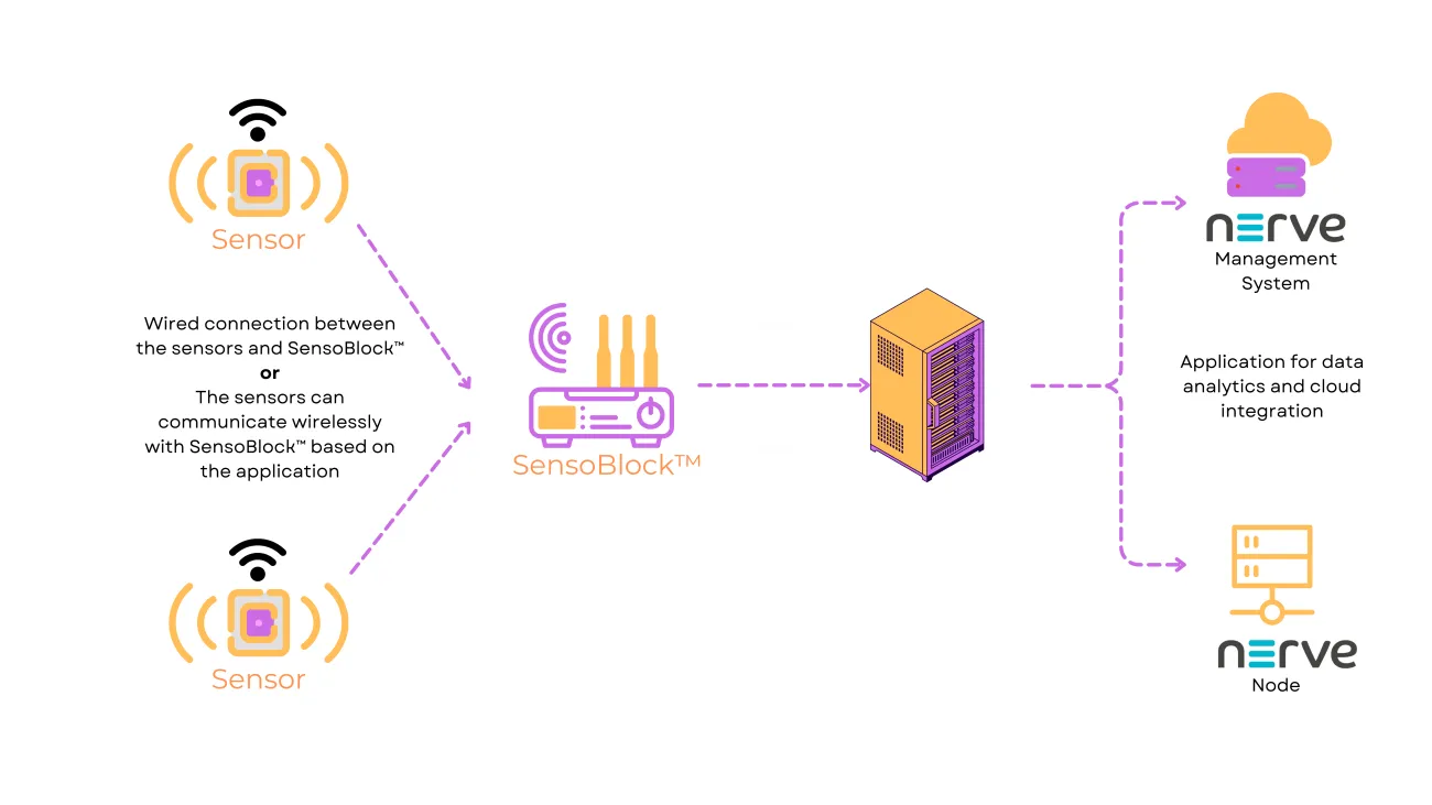 Infographic: SensoBlock and Nerve